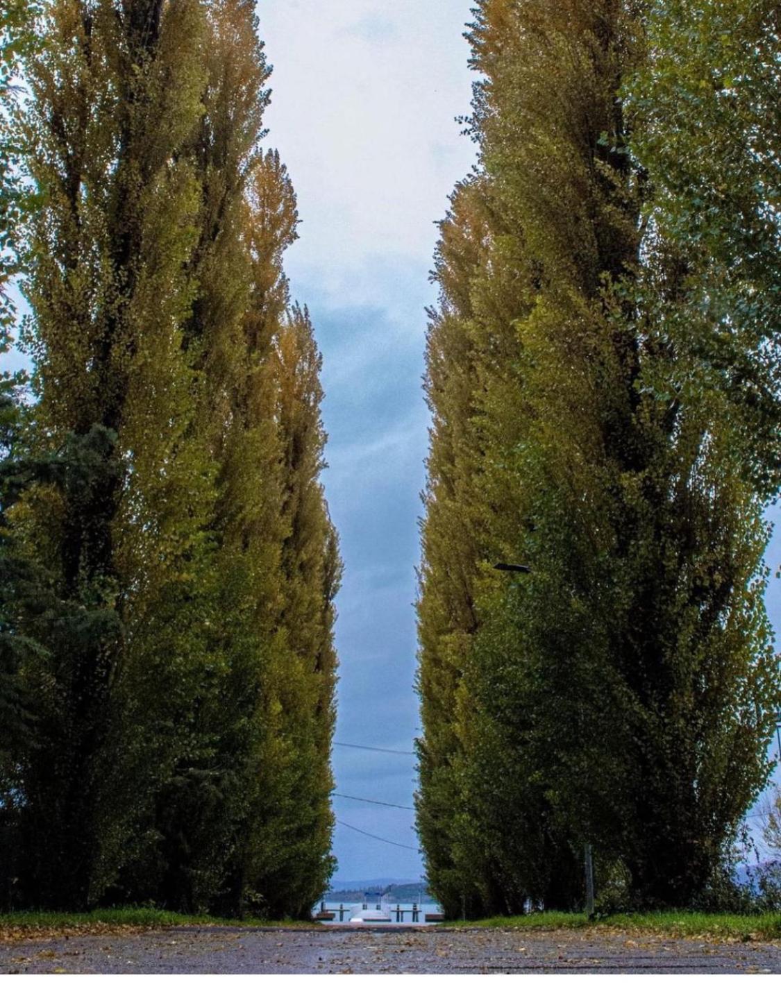 Casa Vacanze Barbara Sant'Arcangelo  ภายนอก รูปภาพ